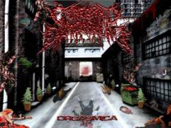 Cerebral Engorgement : Orgasmica